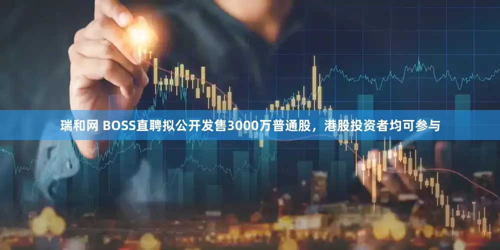 瑞和网 BOSS直聘拟公开发售3000万普通股，港股投资者均可参与